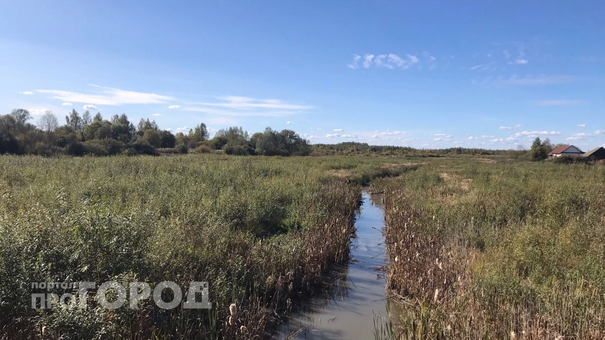 Более тысячи гектаров в Марий Эл готовят под строительство жилья