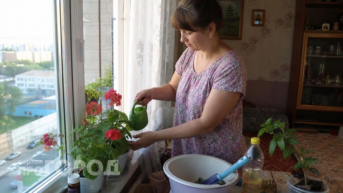 Положите лист герани в карман - вы обомлеете от эффекта