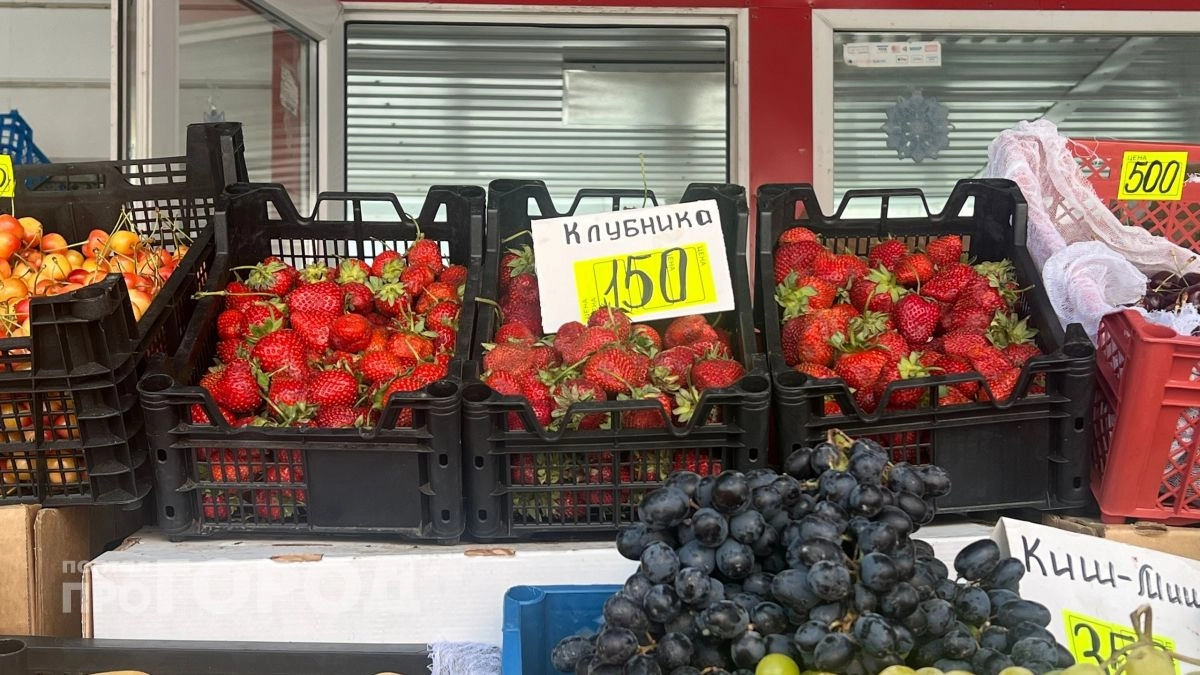 Ученые нашли ягоду, которая продлевает жизнь лучше всех аптечных БАДов