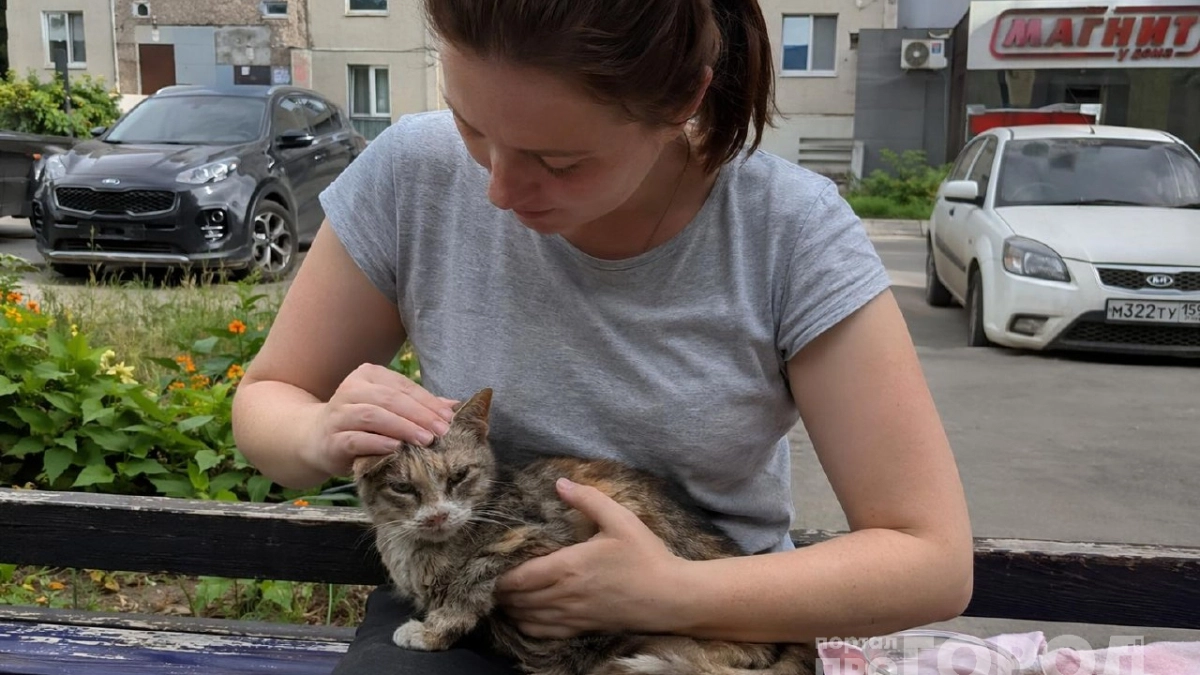 Кошка прощается с хозяином навсегда: четкие и понятные сигналы тем, кто сможет их считать