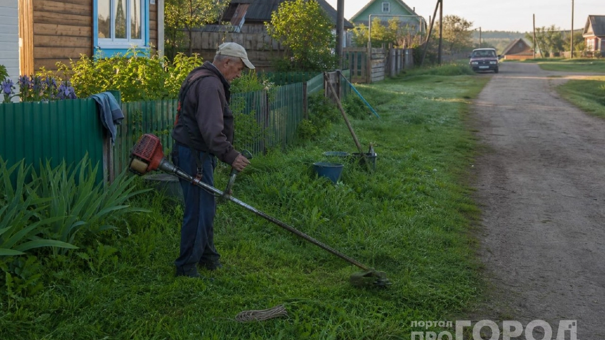Почему старожилы траву в деревнях всегда косили строго до восхода солнца: дело вовсе не в жаре