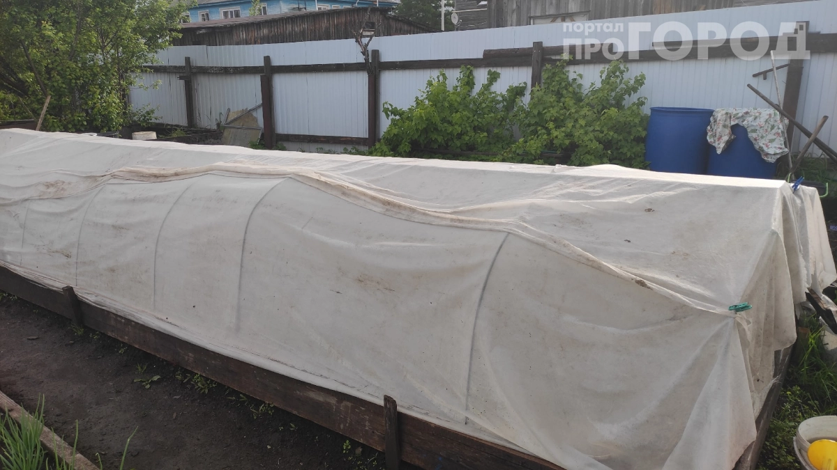 Старый спанбонд не мусор: 5 неожиданных способов выжать из него максимум пользы