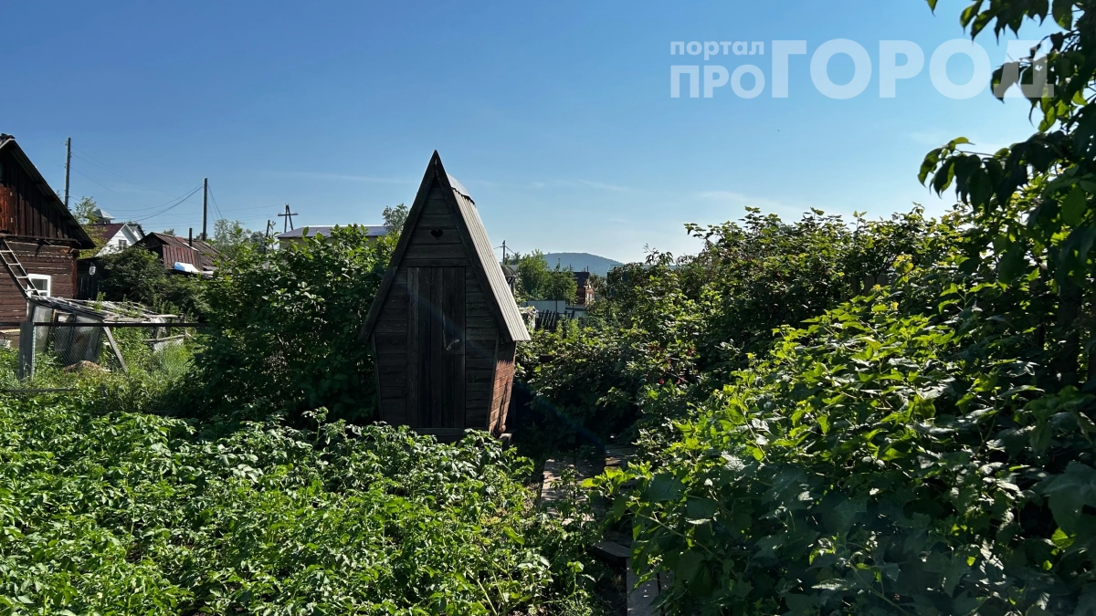 Убрал на даче эту старую вонючую кабинку: теперь даже гости просят показать мой новый туалет