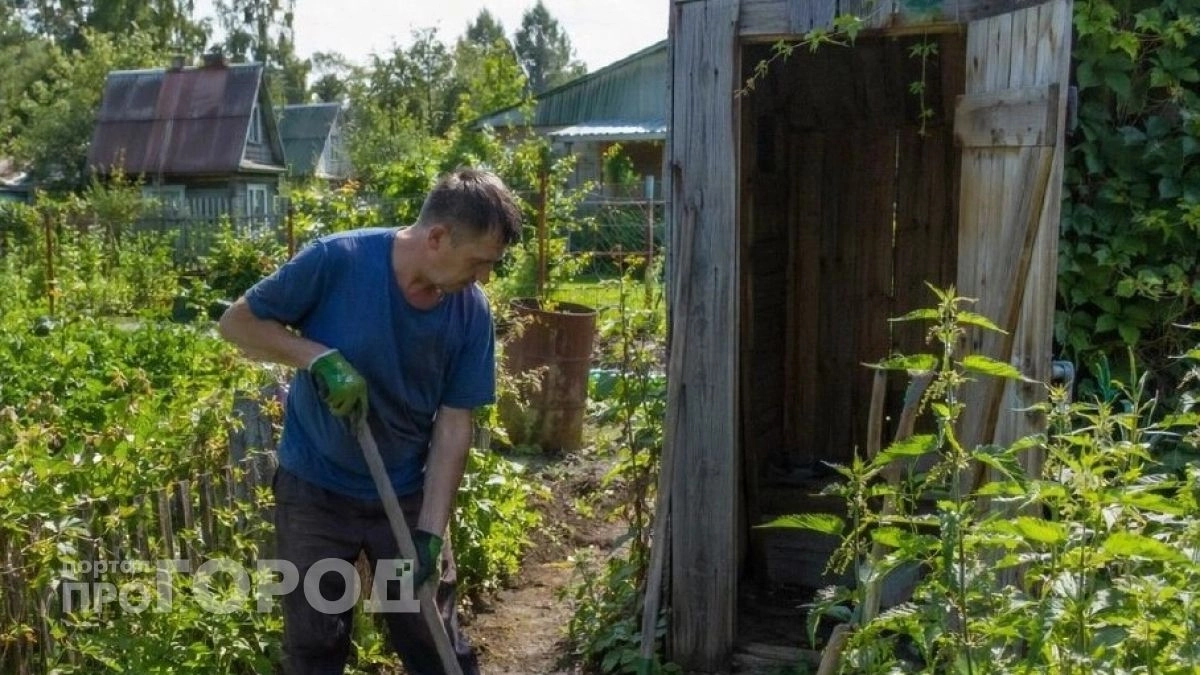 Выгребная яма соседа не пахнет даже в жару: заглянула внутрь туалета и увидела это