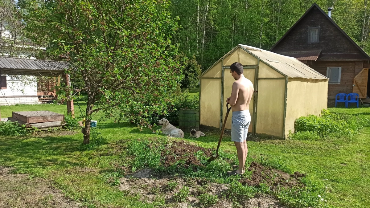 В Петров день всё перекопала — а потом узнала, что так нельзя: какие работы в огороде под запретом 12 июля