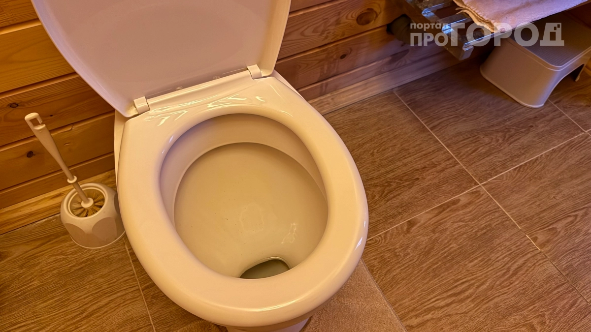 Закрывать крышку унитаза или нет: эксперты поставили точку — вот что нужно делать каждому
