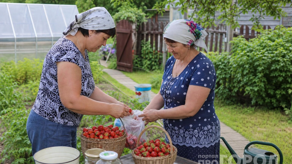 Клубнику не кручу вареньем — храню в банке ягодка к ягодке: едим всю зиму как только что с грядки