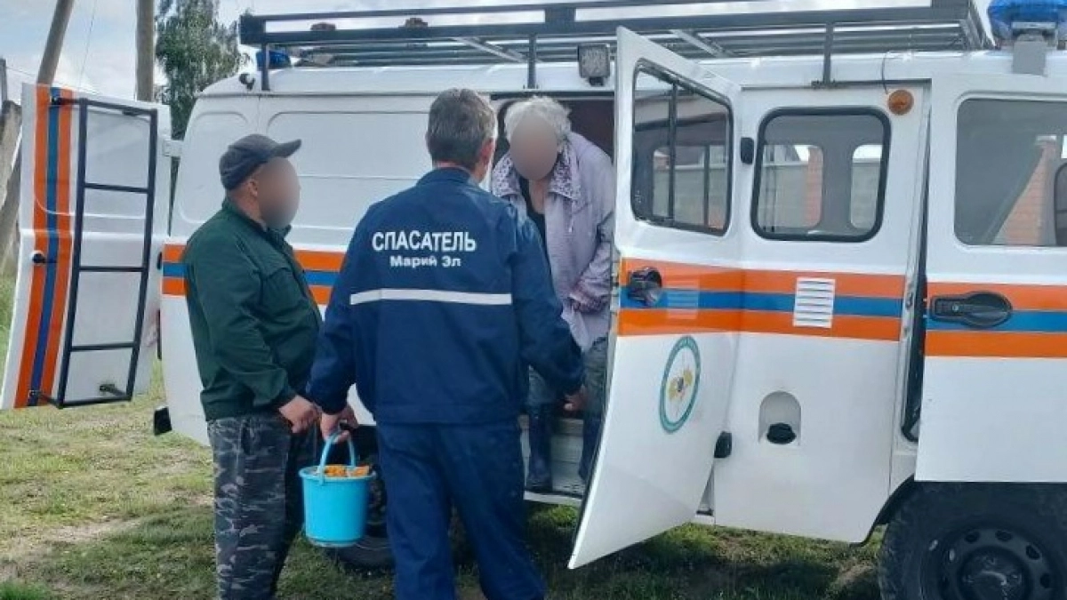 Пожилая женщина и мужчина потерялись в лесу Марий Эл