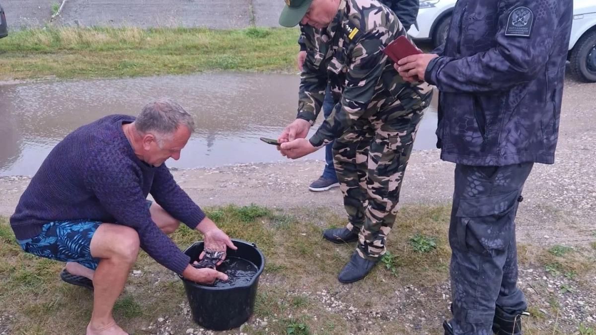 Пять тысяч крошечных стерлядок уплыли в Волгу из Козьмодемьянска