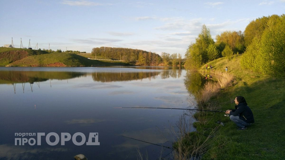 Ловят щук до 5 кг и сомов: пять локаций в Марий Эл для лучшей рыбалки
