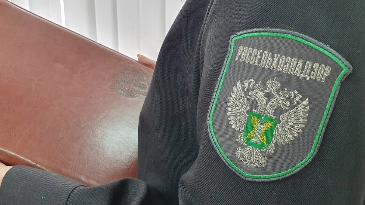 В Йошкар-Оле выдали лицензию новой ветаптеке