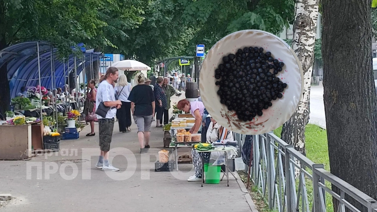 Заоблачные цены устанавливают на чернику в Марий Эл: ”В этом году ягоды меньше”
