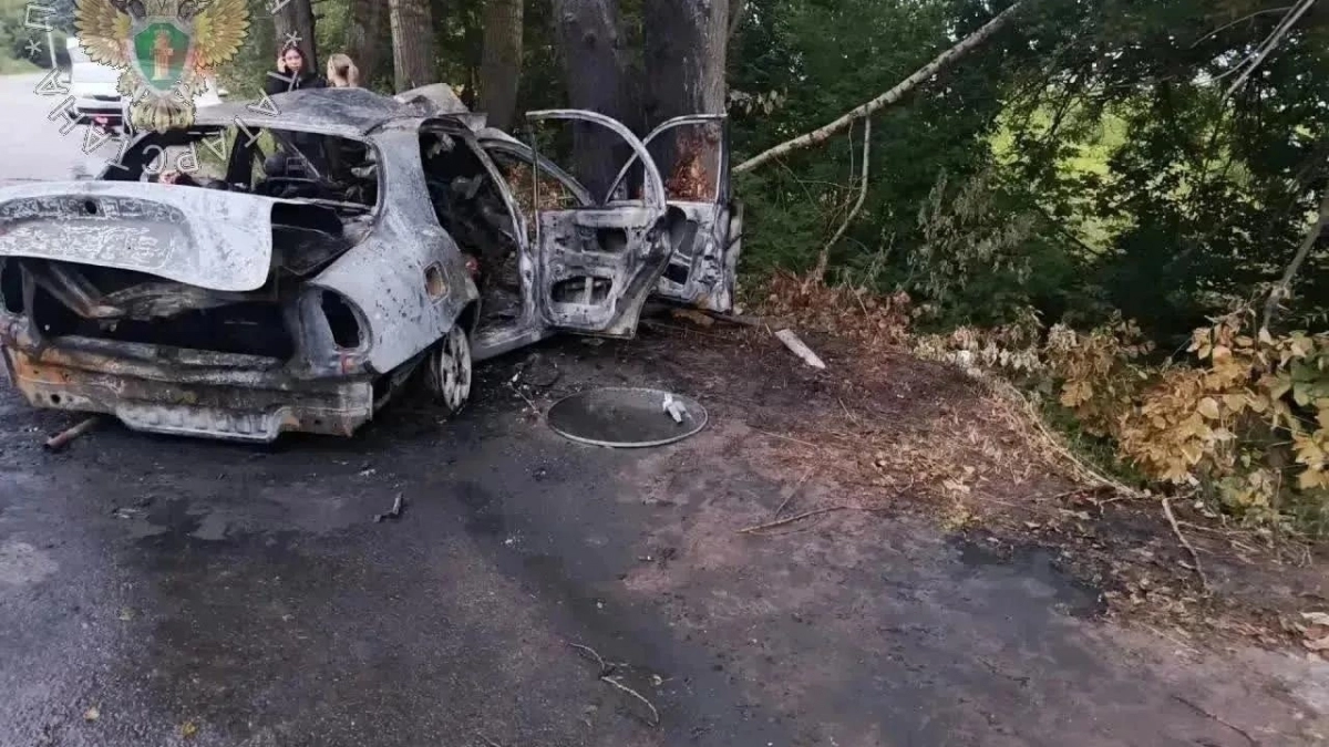 Шесть подростков сгорели в ночном ДТП на границе с Марий Эл