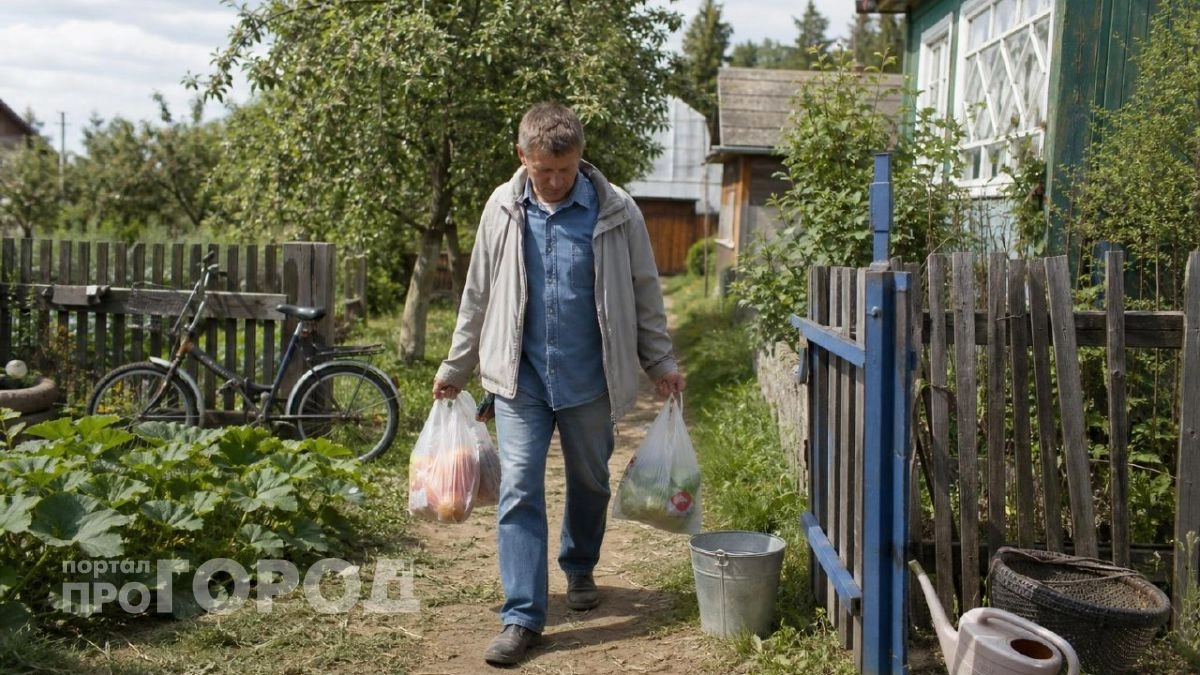 Дачный холодильник за 100 рублей: как я использую пенопластовые коробки из под рыбы, чтобы продукты не портились в жару