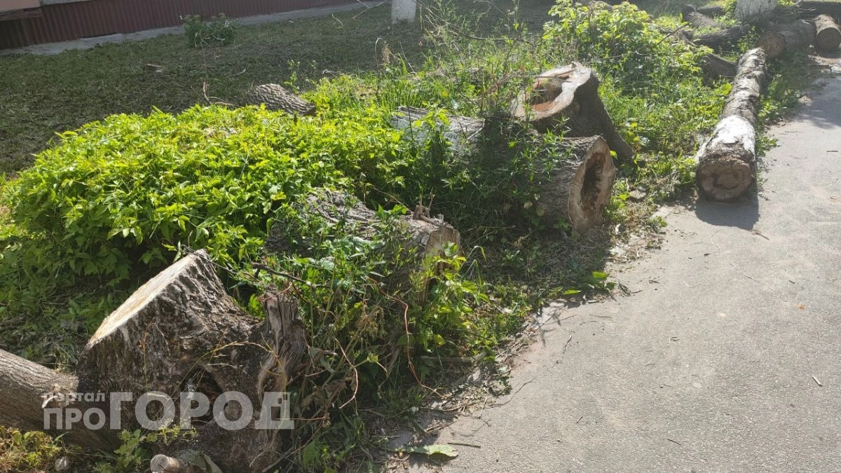 Электроника и мусор: неожиданные драйверы промышленности Марий Эл