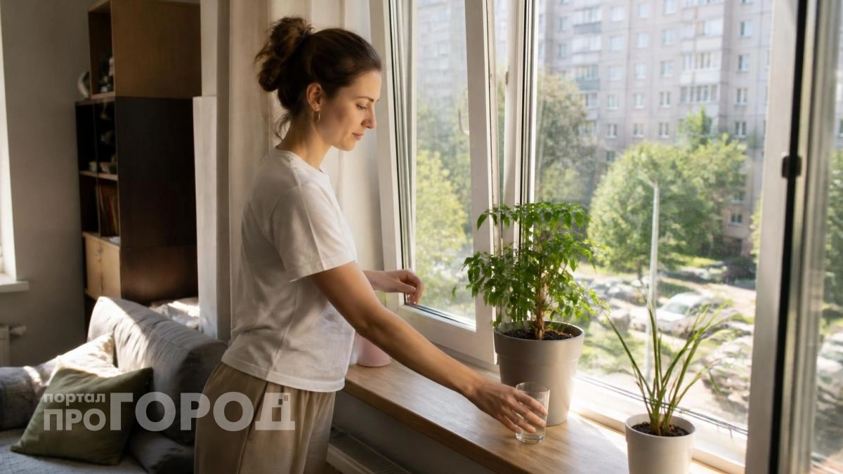 3 вещи, которые нужно срочно убрать с подоконника: отпугивают достаток из любого дома