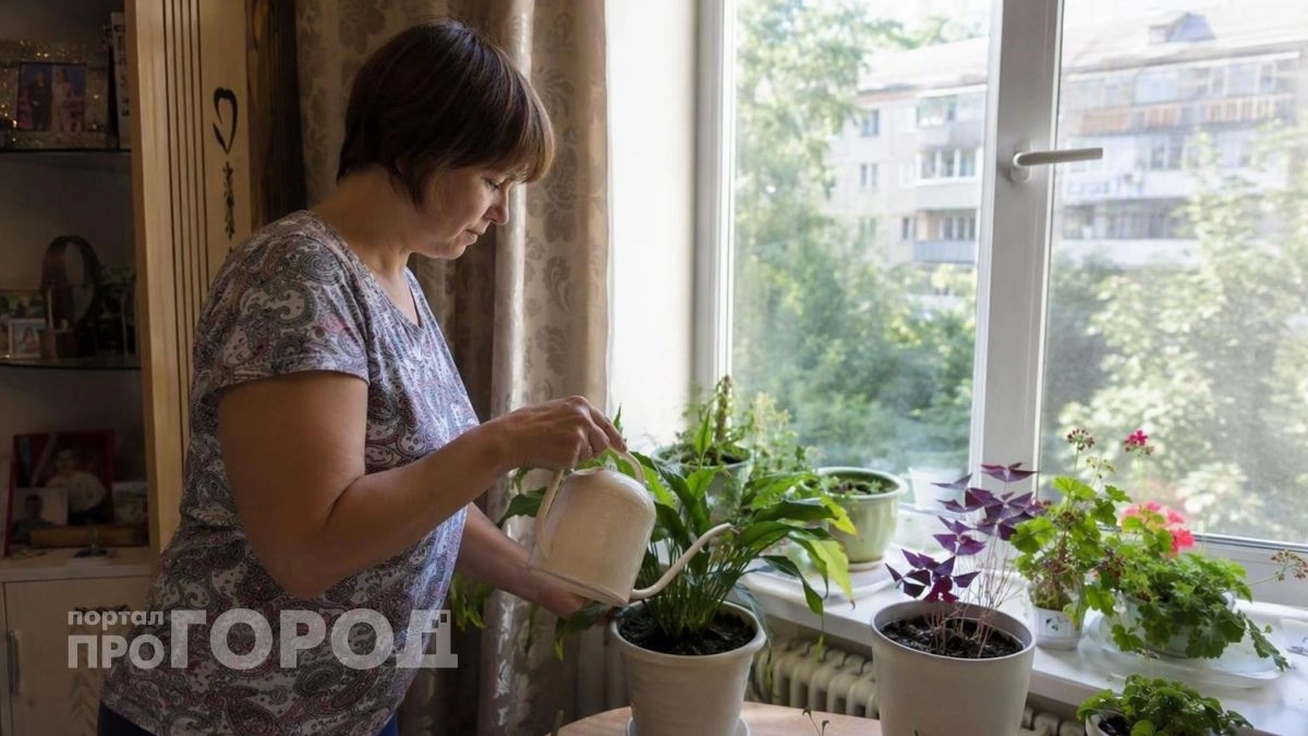 Выкиньте срочно: шесть домашних растений, которые притягивают беды и портят здоровье