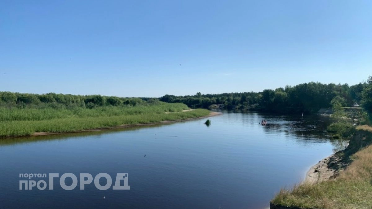В Марий Эл вступили в силу правила борьбы с чужеродными растениями