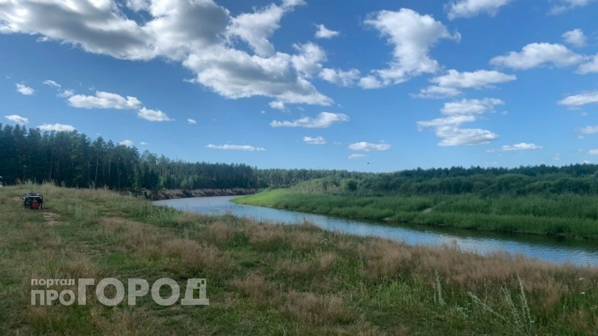 В Марий Эл подсчитали ущерб от пожаров