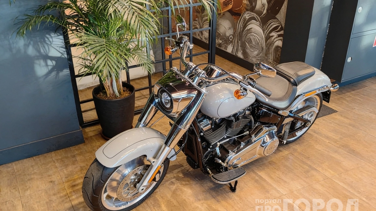 Матовый монстр с золотыми клыками: зачем мотоцикл Harley Fat Boy примерил образ «Evil Boy»