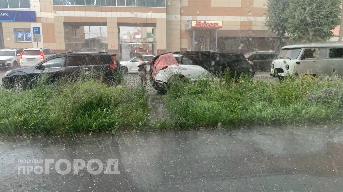 В Марий Эл МЧС предупреждает о грозе в ближайшие часы