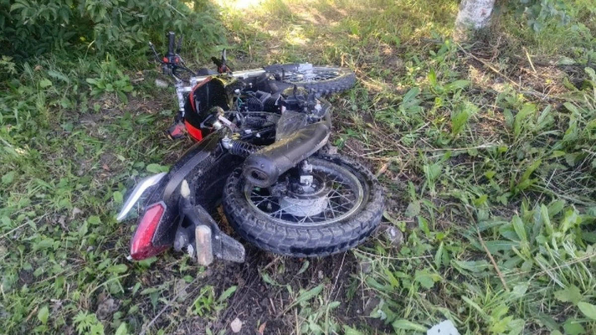 Водитель мопеда погиб в Оршанке, столкнувшись с ВАЗ