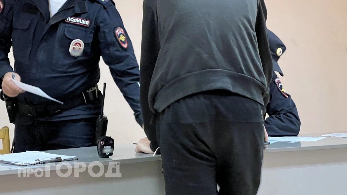 Пьяный мужчина в Морках угрожал полицейским и материл их: теперь будет работать 1.5 года бесплатно