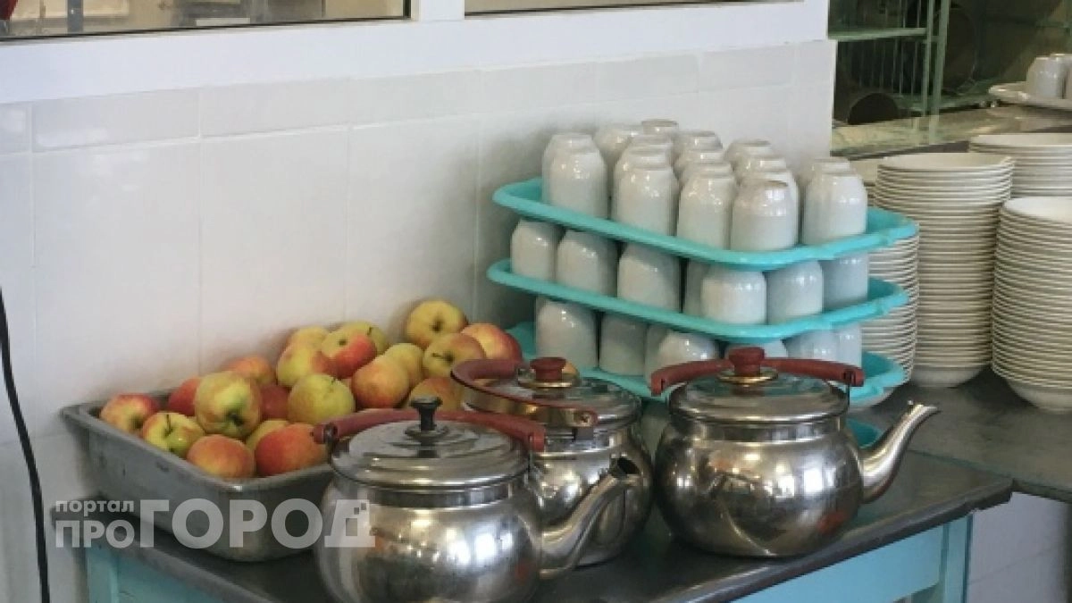 Запрещённые продукты и грязь на кухне обнаружили в детском лагере Марий Эл