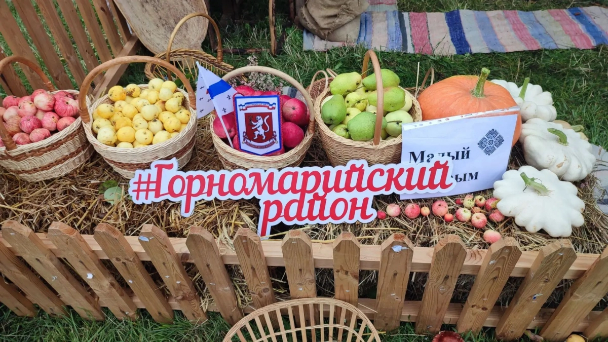 В Горномарийском районе состоится ежегодная республиканская выставка «День овощного поля - 2026»
