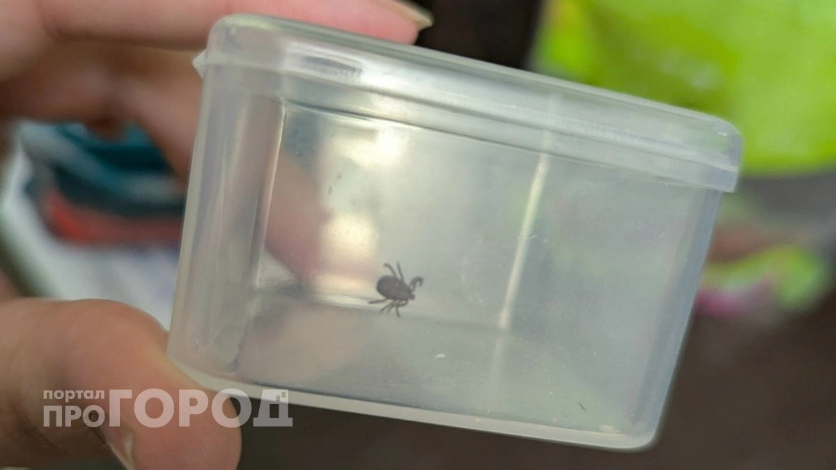 Три случая болезни Лайма подтверждены в Марий Эл