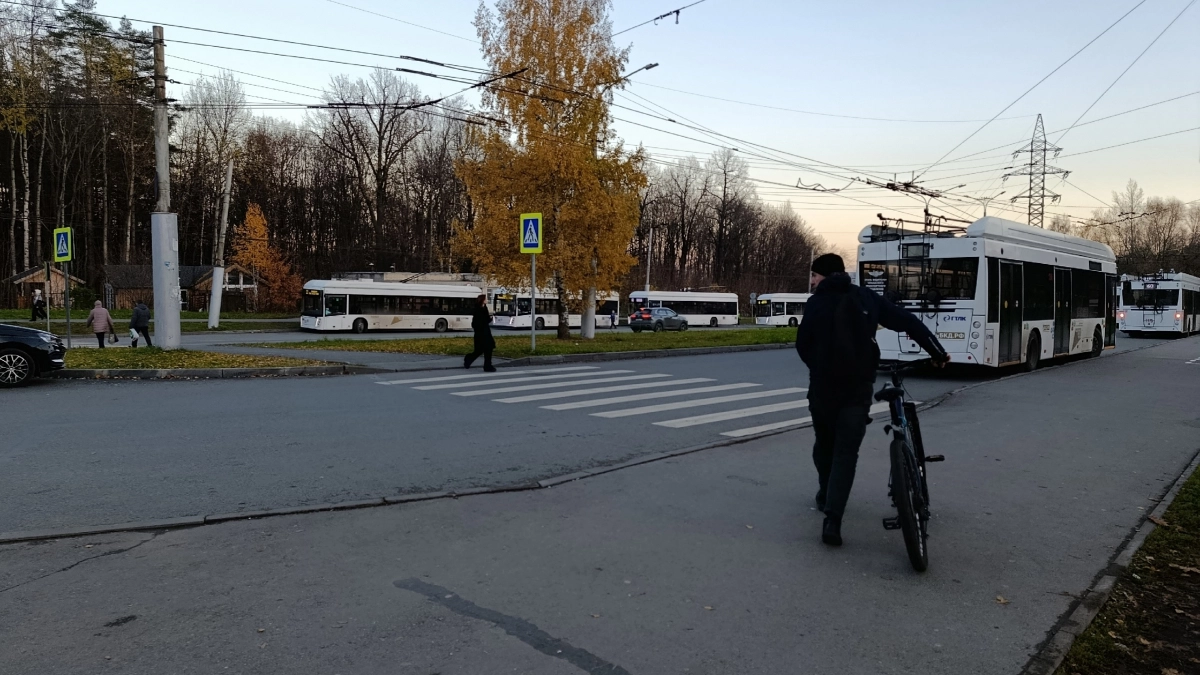 Шаг на „зебру“ — ещё не повод тормозить: Верховный суд поставил точку в спорном вопросе