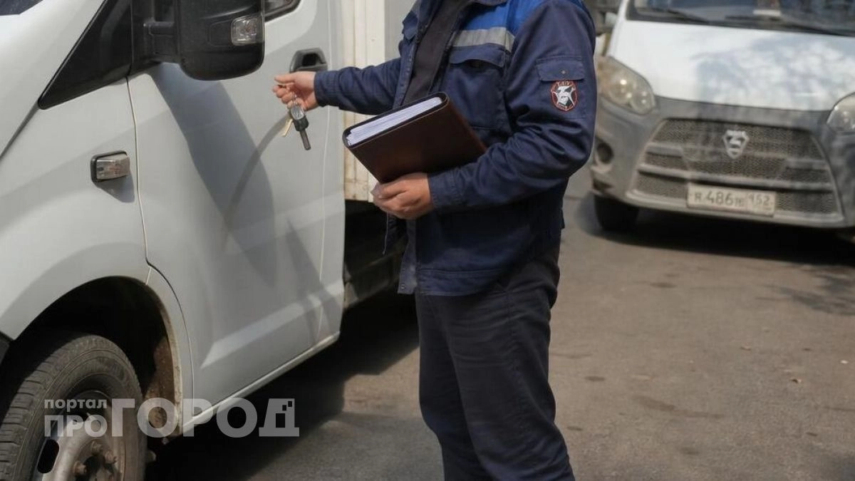 Водитель в Звенигово наворовал у работодателя мясной продукции на миллион, чтобы перепродать ее