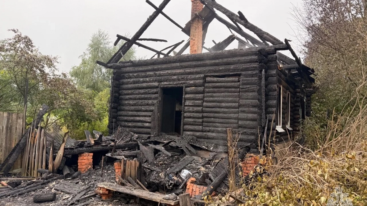 Два человека обгорели во время пожара в деревне Озерки