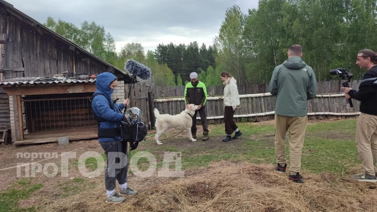 Ветеранов СВО обучат фермерскому делу в рамках образовательного проекта «Школа фермера»