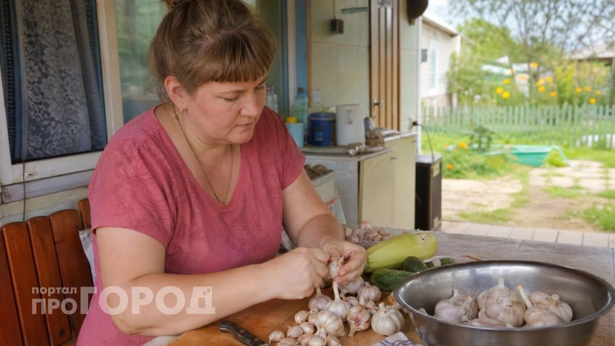 Чеснок не высохнет до самой весны: 3 простых способа хранения без погреба