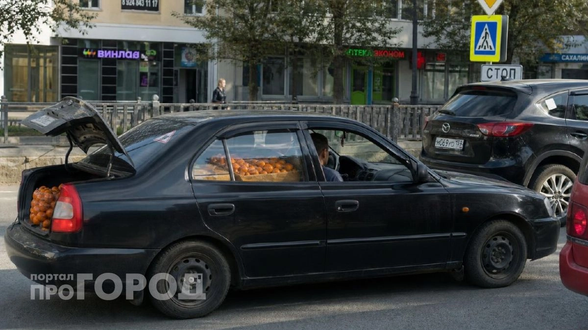 Съездила в Абхазию на сбор мандаринов и хурмы: сколько смогла заработать