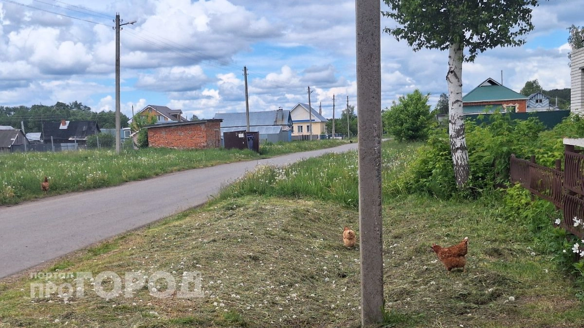 Один из районов Марий Эл закрыли из-за опасной болезни