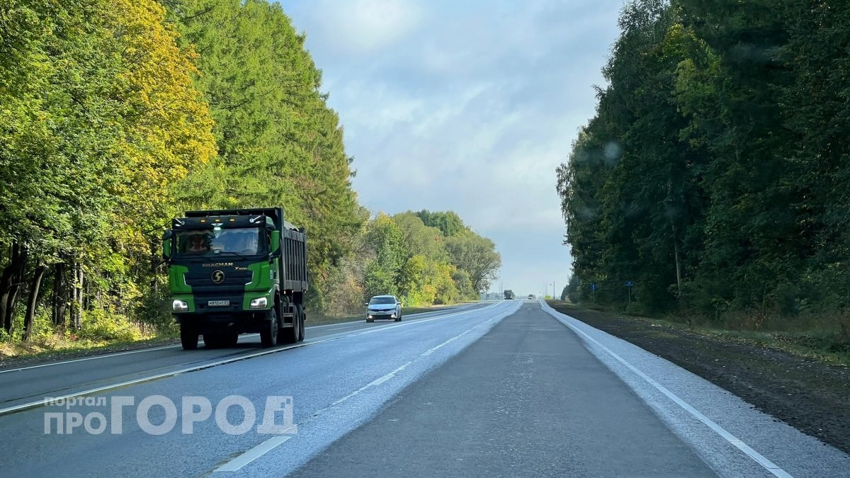 Важные дороги в Медведевском районе сделали светлее