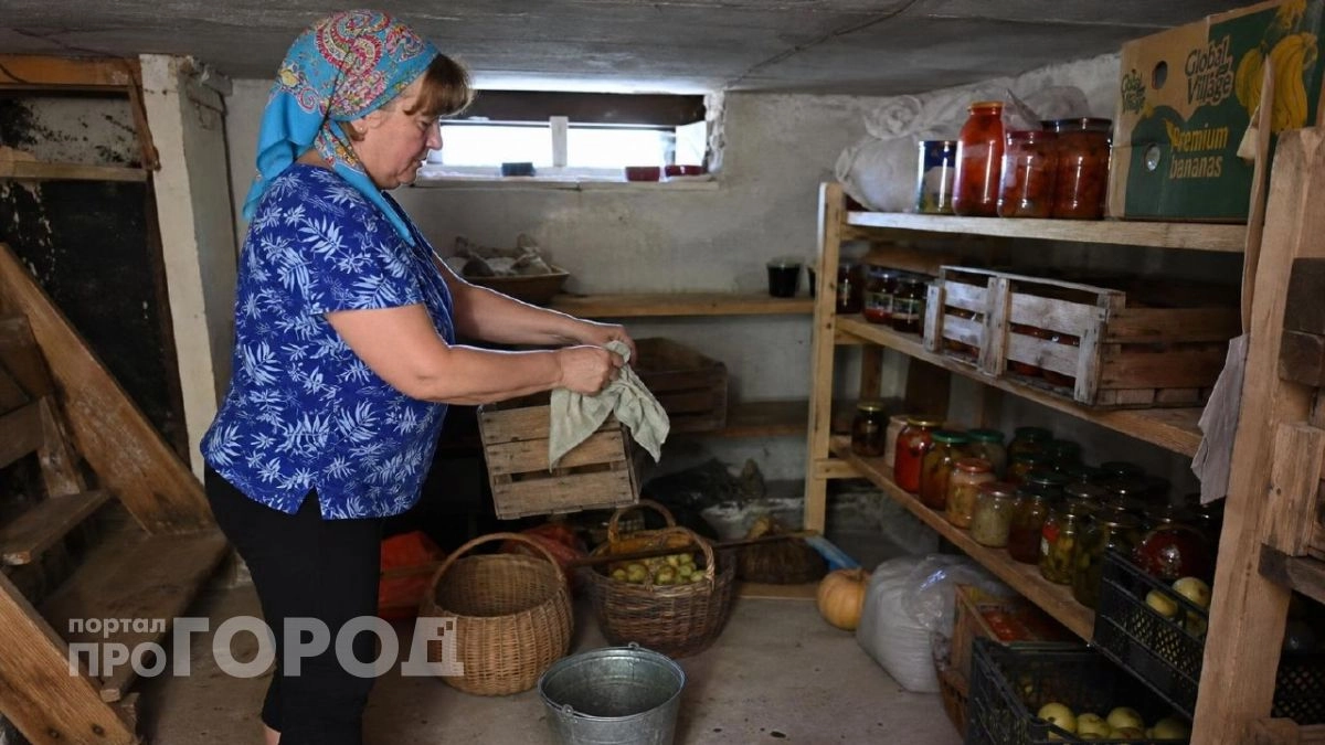 Одно ведро в угол - и никакой сырости и конденсата: готовим погреб к зимнему хранению