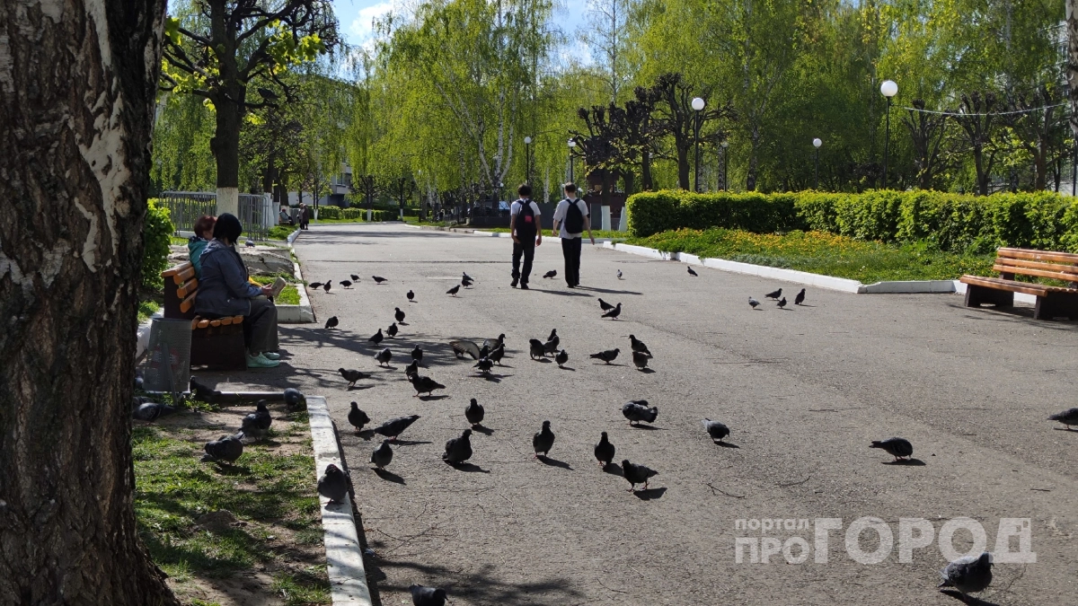 Решение принято сверху: опубликован график каникул школьников на 2026/2027 учебный год
