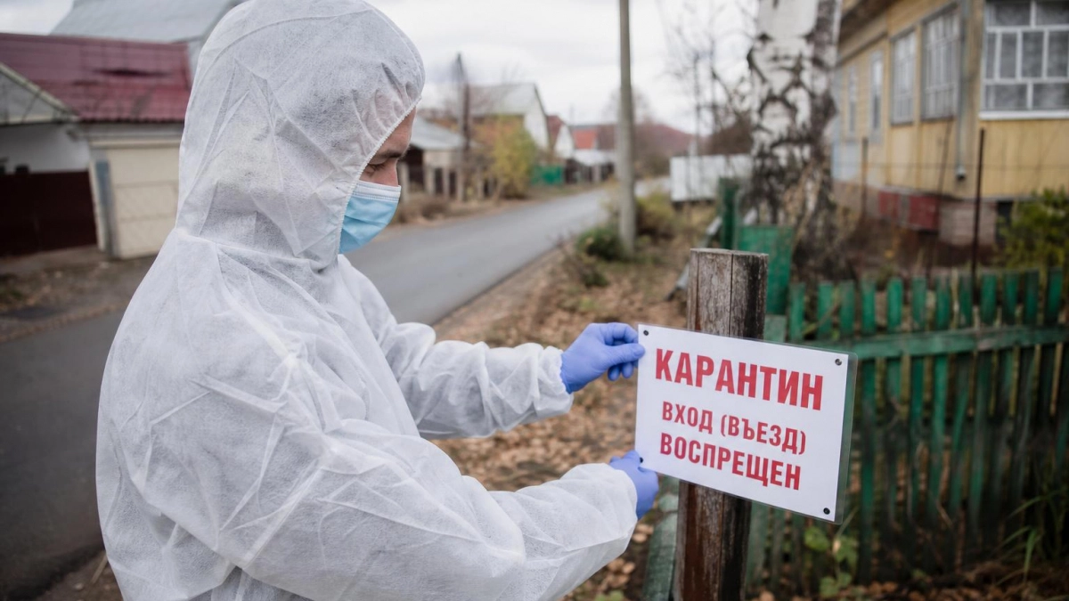 В Волжске ввели карантин по бешенству в районе улицы Спортивной