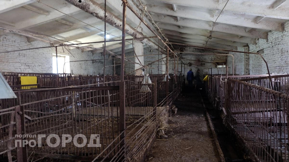Район в Марий Эл закрыли на карантин из-за опасной болезни