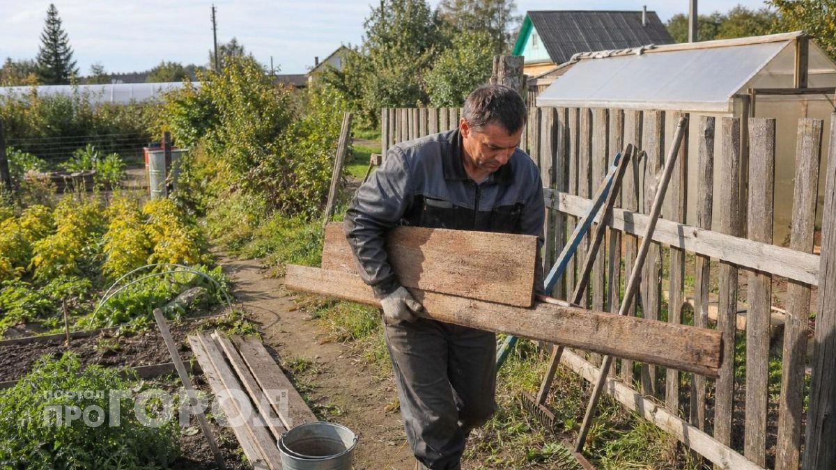 Почему я больше не выбрасываю старые доски: 12 полезных находок для огорода
