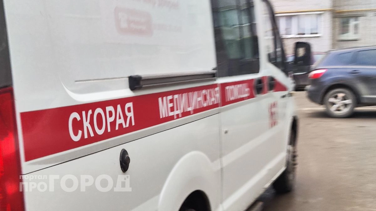 Разъяренная соседская собака набросилась на ребенка в Горномарийском районе