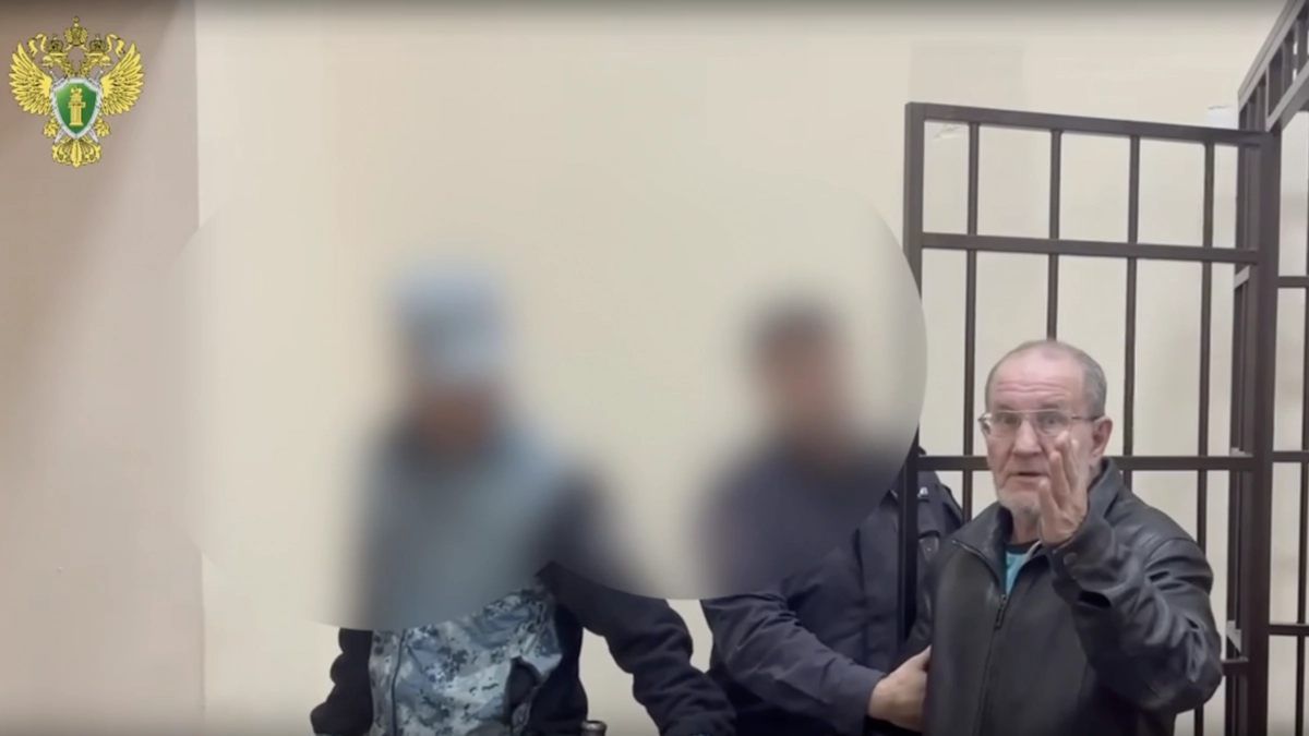 Волжанин купил поддельные права и попался сотрудникам ГАИ: "Не было времени сдавать экзамен"