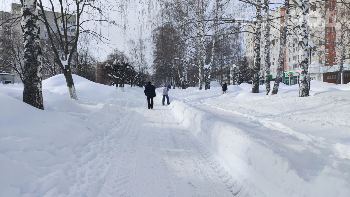 Этой зимой произойдёт то, чего не было больше 250 лет — синоптики предупреждают, готовиться нужно уже сейчас