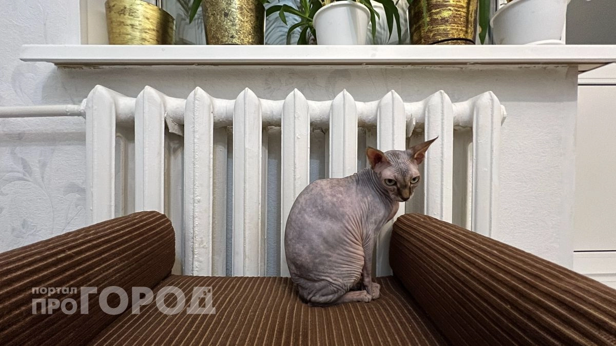 Когда в Йошкар-Оле включат отопление - в мэрии дали ответ