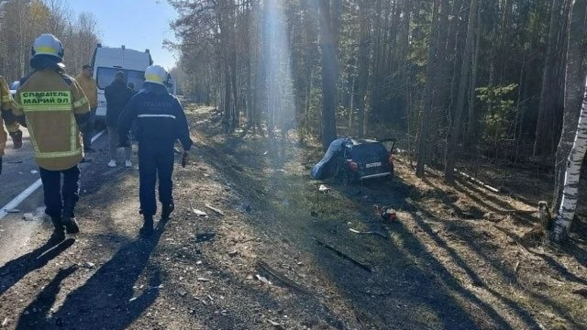 Выехал пьяный на встречку: виновника смертельной аварии в Килемарском районе наказали в суде