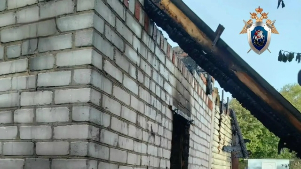 В СНТ «Коммунальник» после пожара найдено тело мужчины: СК Марий Эл начал проверку   