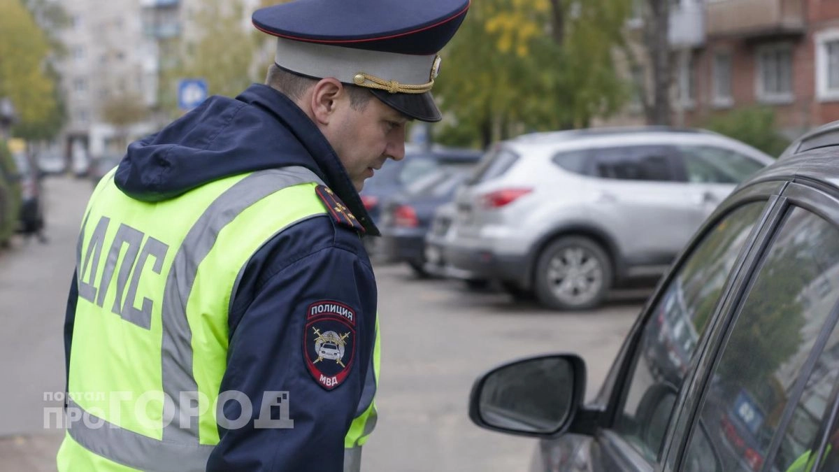Мужчину в Медведевском районе отправили в колонию строгого режима за неадекватную поездку за рулем